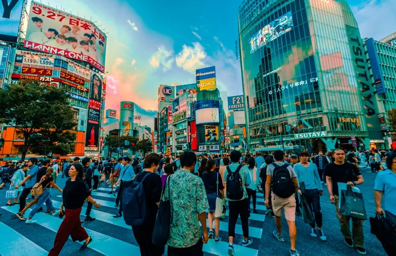 Arnold.Tokyo Premium Domain